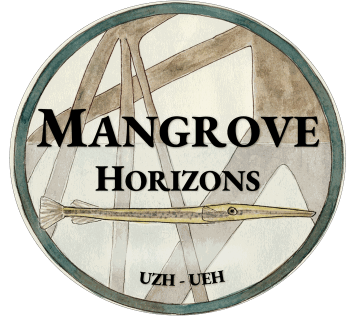 Mangrove Horizons emblem: a needlefish among mangrove prop roots